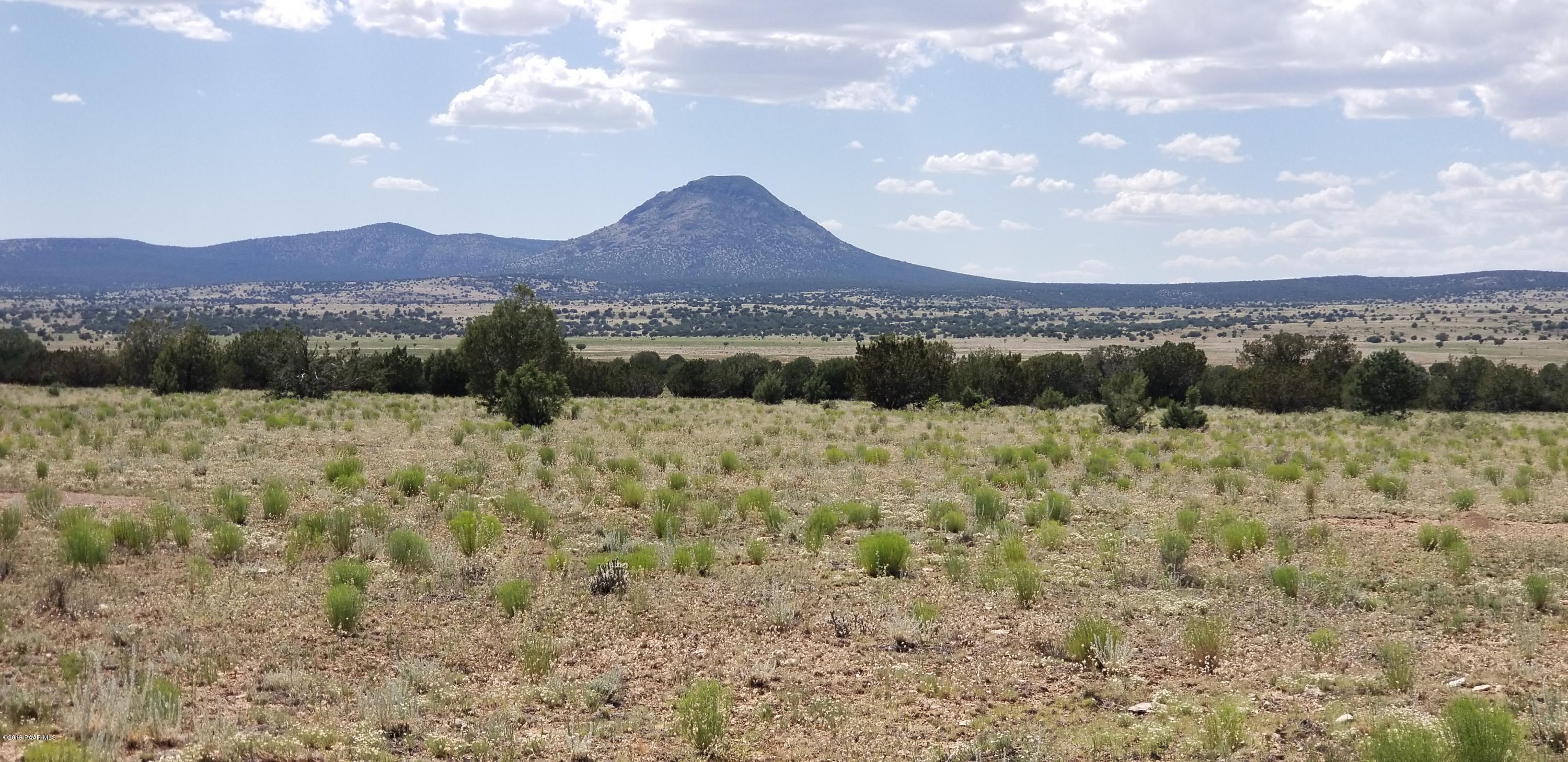 E Antelope Run Road Ash Fork, AZ 86320 - Photo 41 of 57 20190618_145806