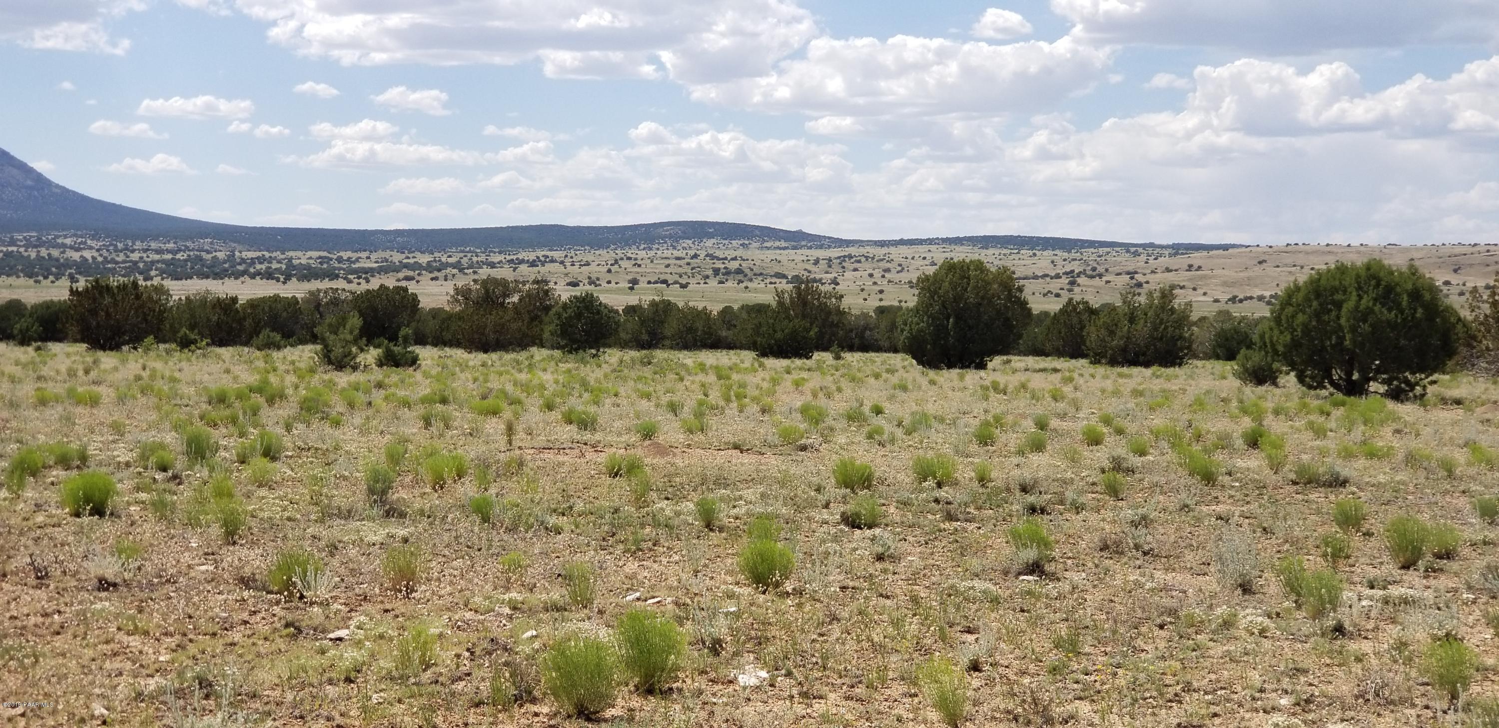 E Antelope Run Road Ash Fork, AZ 86320 - Photo 42 of 57 20190618_145808