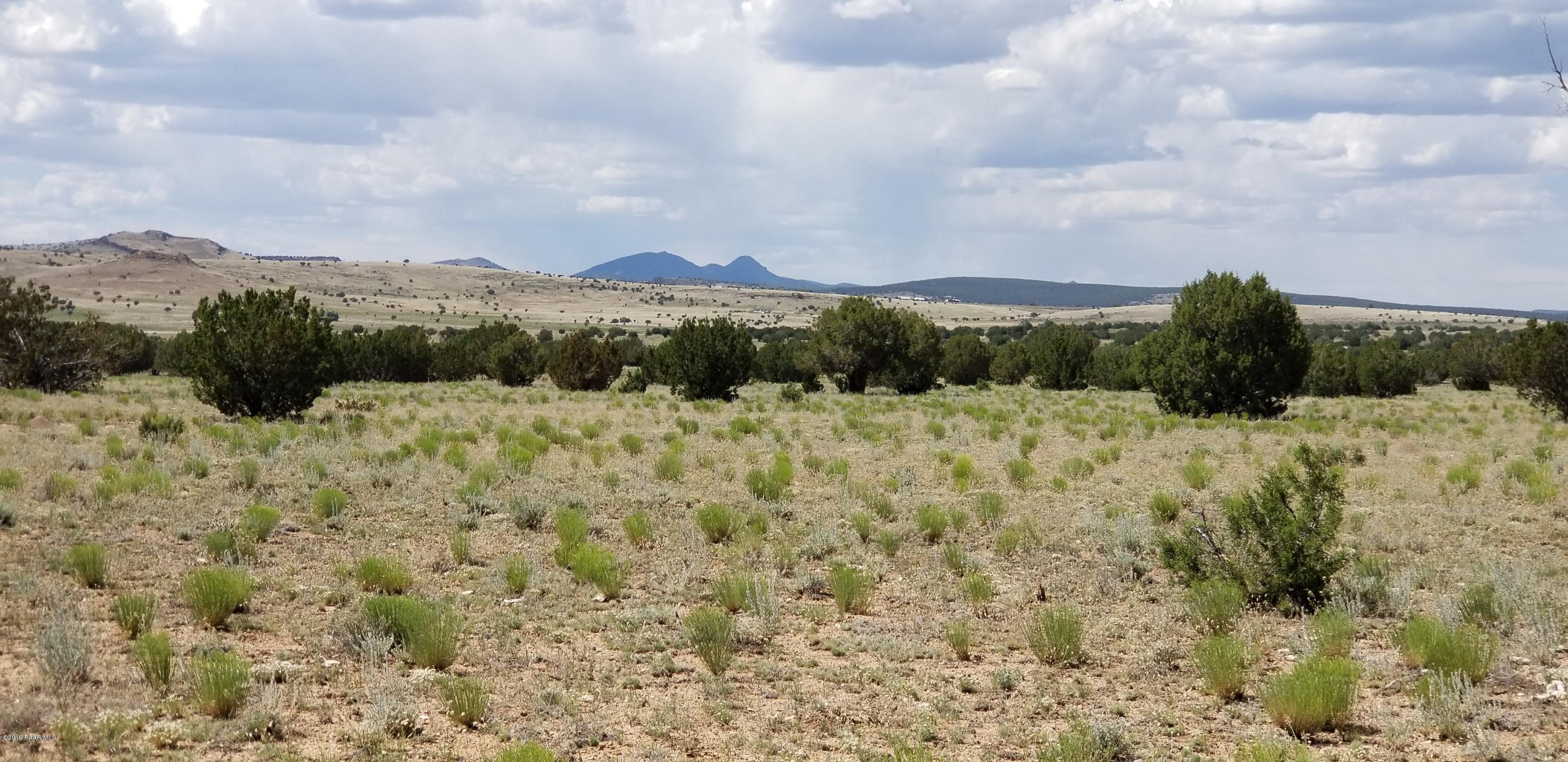 E Antelope Run Road Ash Fork, AZ 86320 - Photo 43 of 57 20190618_145816