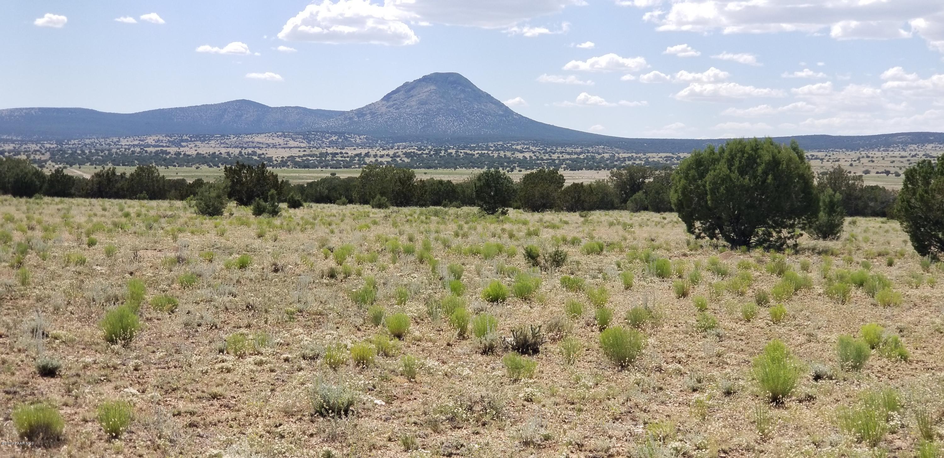 E Antelope Run Road Ash Fork, AZ 86320 - Photo 44 of 57 20190618_145941