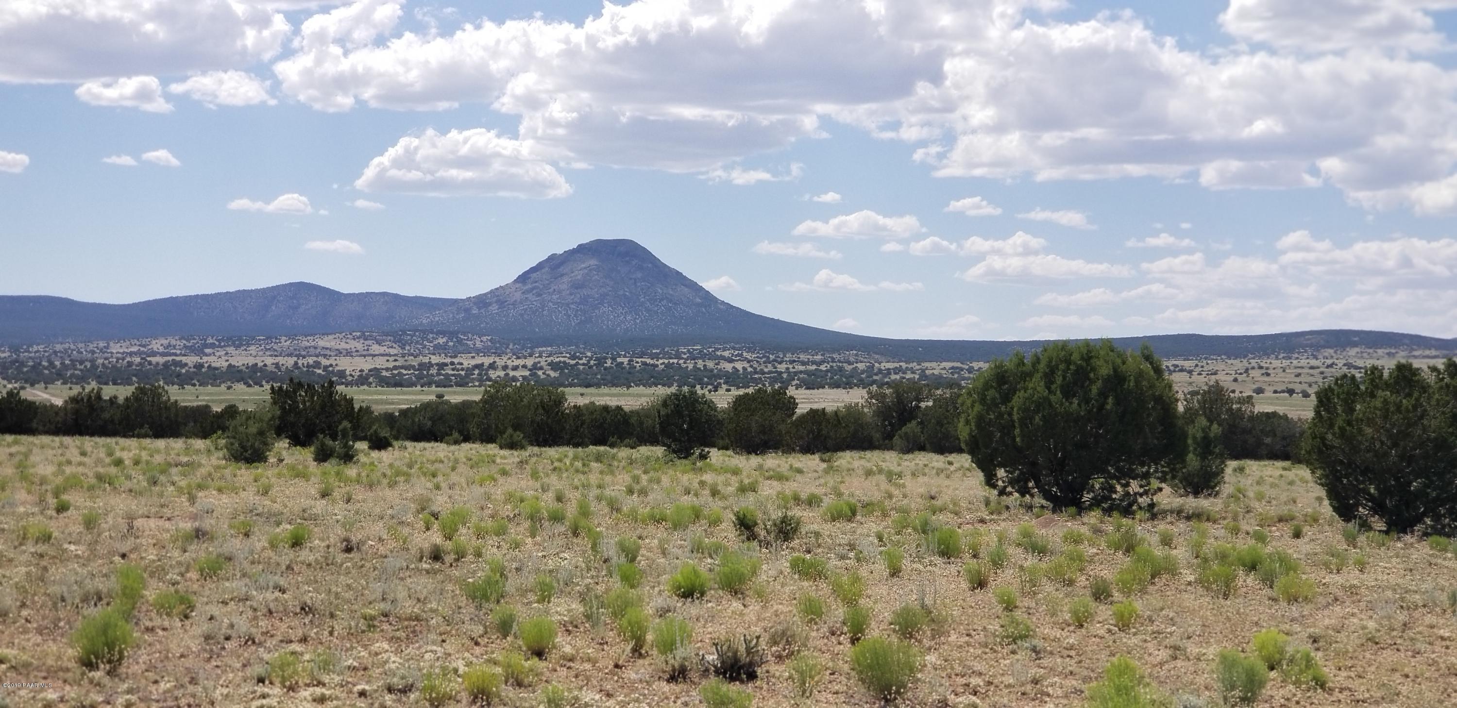 E Antelope Run Road Ash Fork, AZ 86320 - Photo 45 of 57 20190618_145944