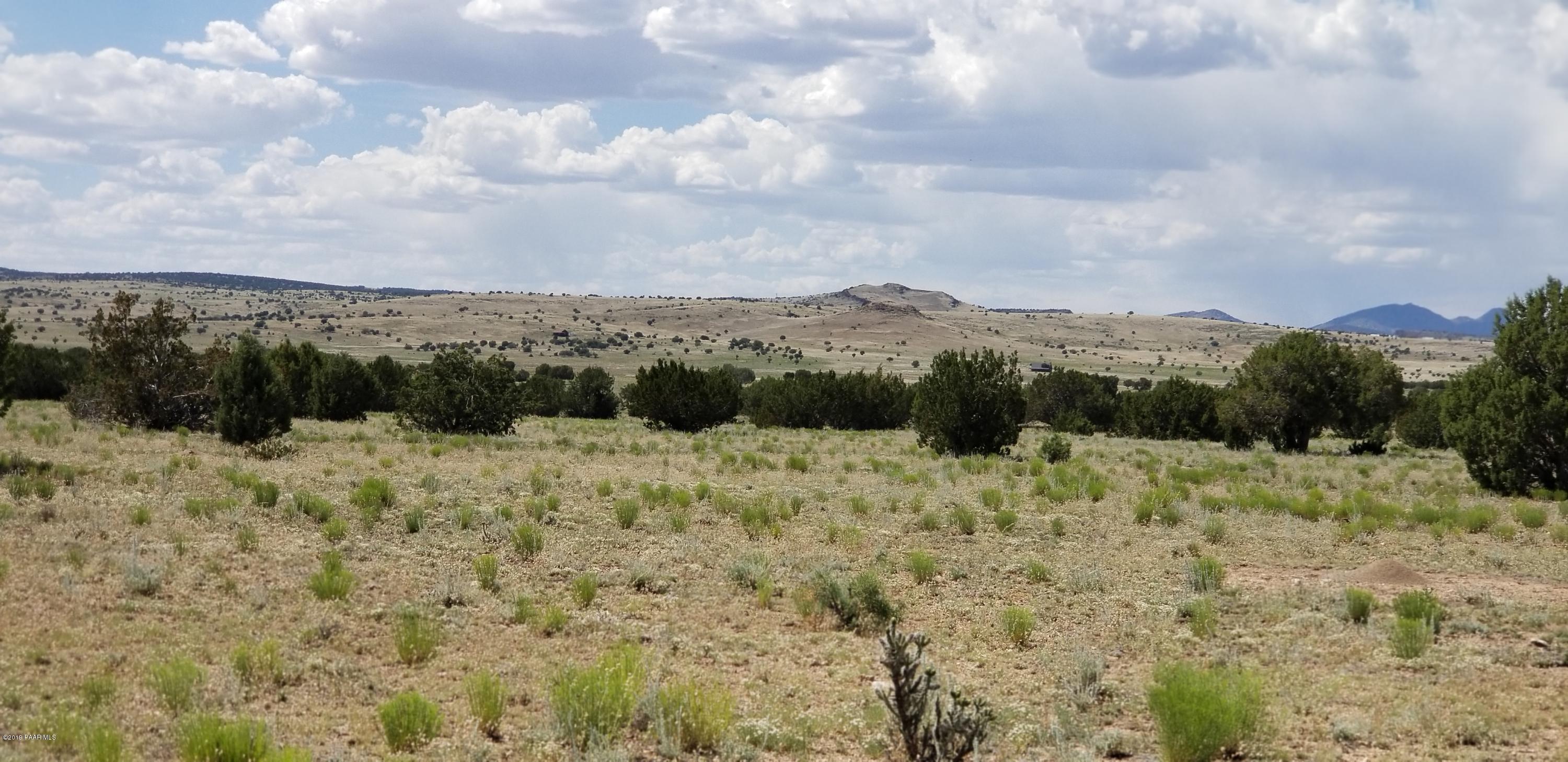 E Antelope Run Road Ash Fork, AZ 86320 - Photo 46 of 57 20190618_145949