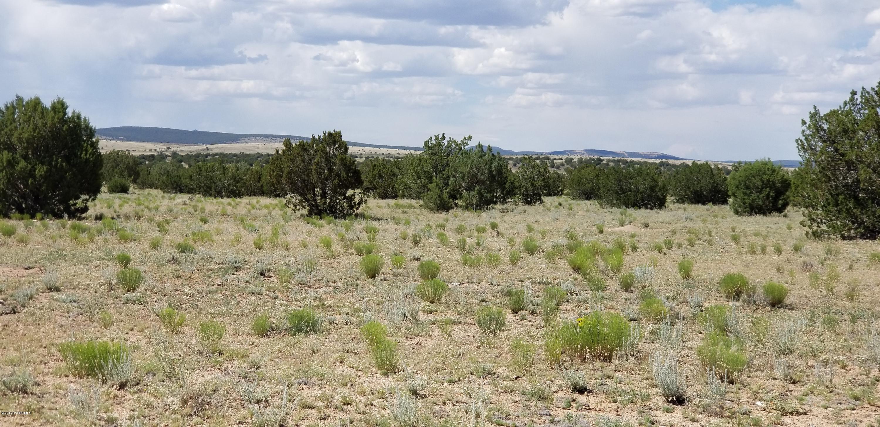 E Antelope Run Road Ash Fork, AZ 86320 - Photo 47 of 57 20190618_145952