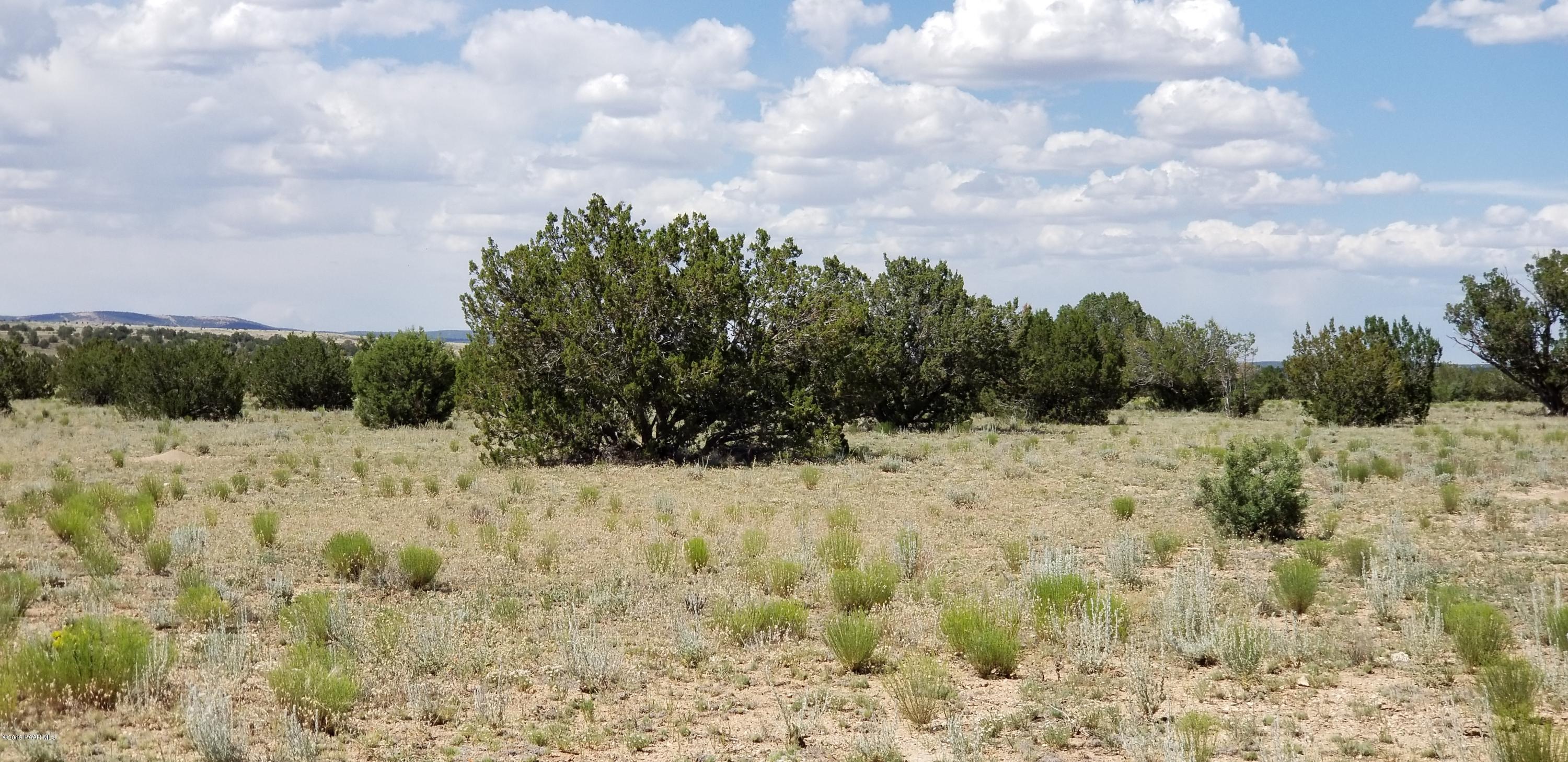 E Antelope Run Road Ash Fork, AZ 86320 - Photo 48 of 57 20190618_145954