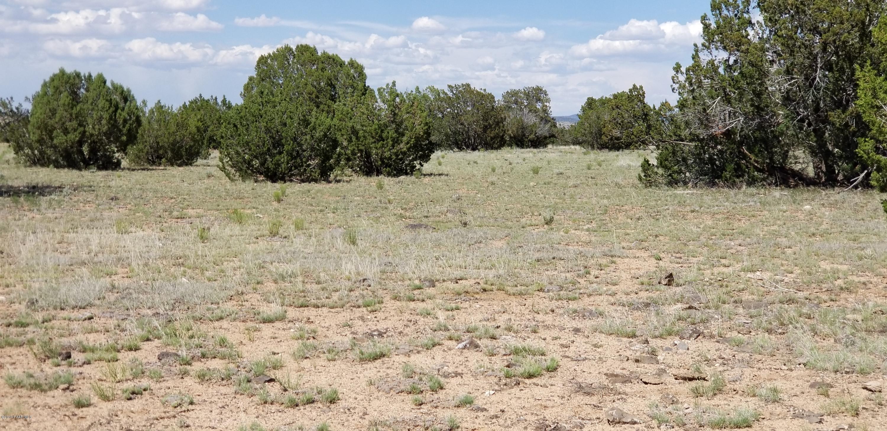 E Antelope Run Road Ash Fork, AZ 86320 - Photo 49 of 57 20190618_150300