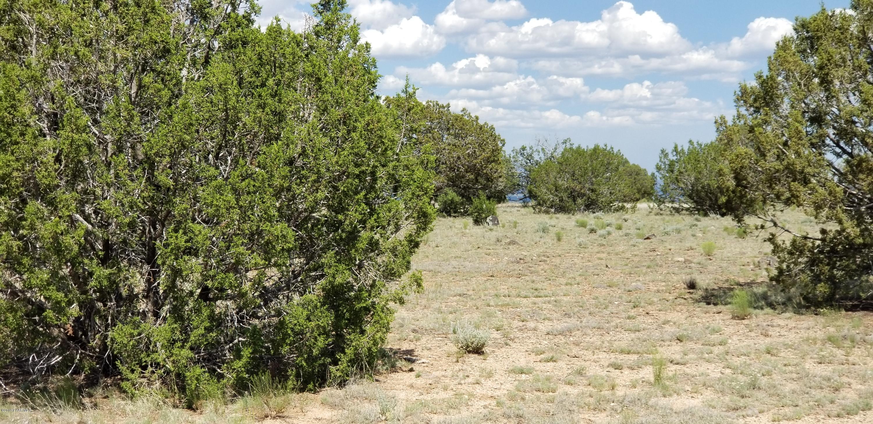 E Antelope Run Road Ash Fork, AZ 86320 - Photo 50 of 57 20190618_150305