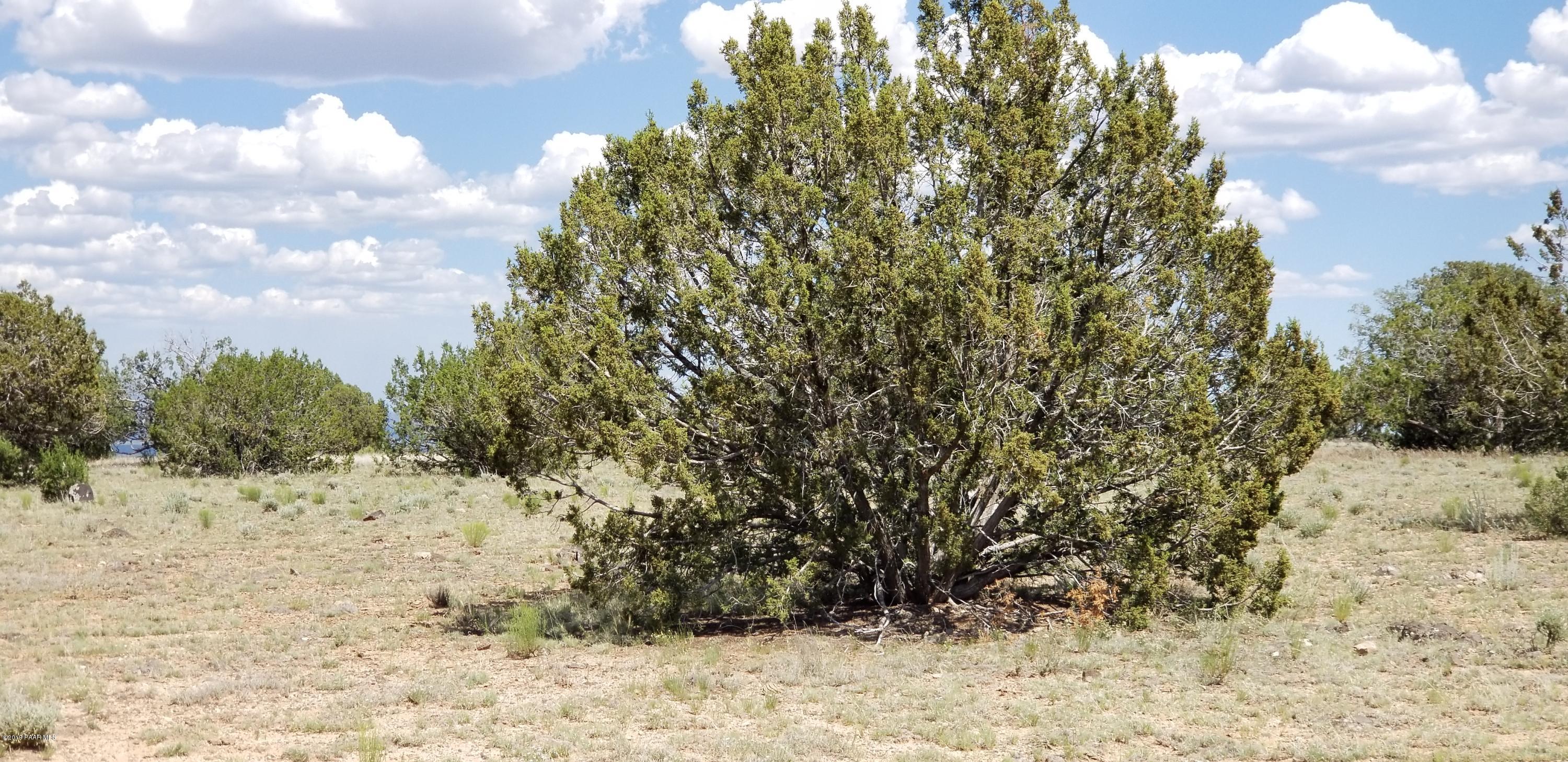 E Antelope Run Road Ash Fork, AZ 86320 - Photo 51 of 57 20190618_150308