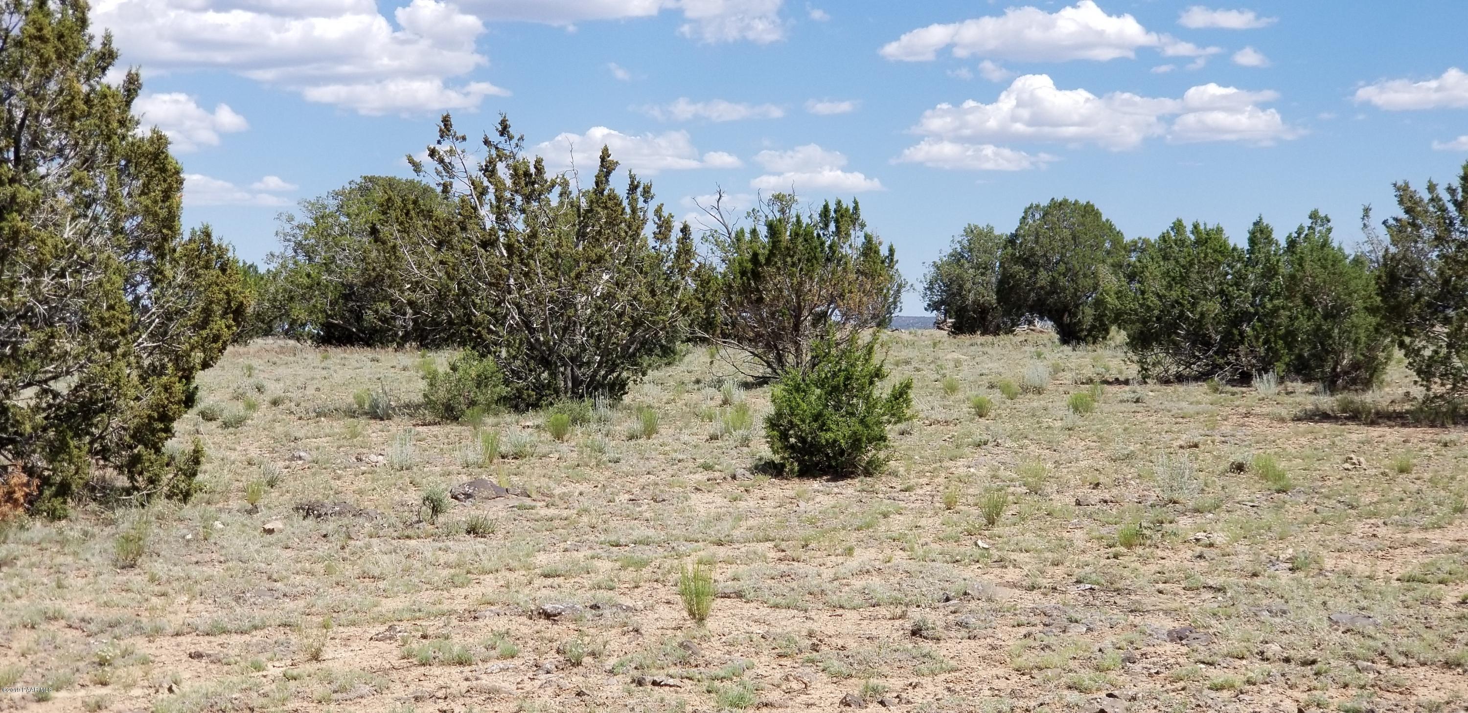 E Antelope Run Road Ash Fork, AZ 86320 - Photo 52 of 57 20190618_150311
