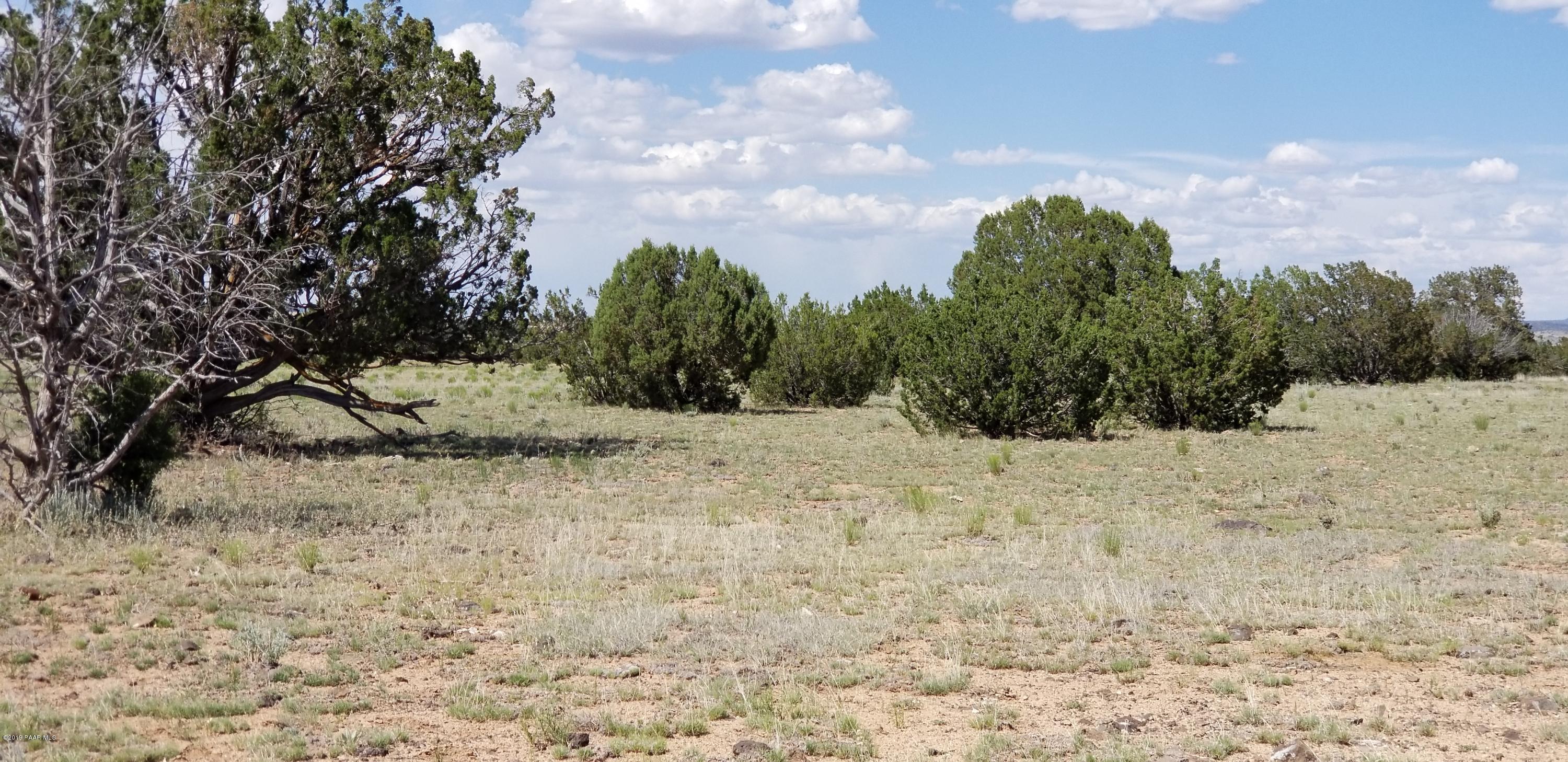E Antelope Run Road Ash Fork, AZ 86320 - Photo 53 of 57 20190618_150315