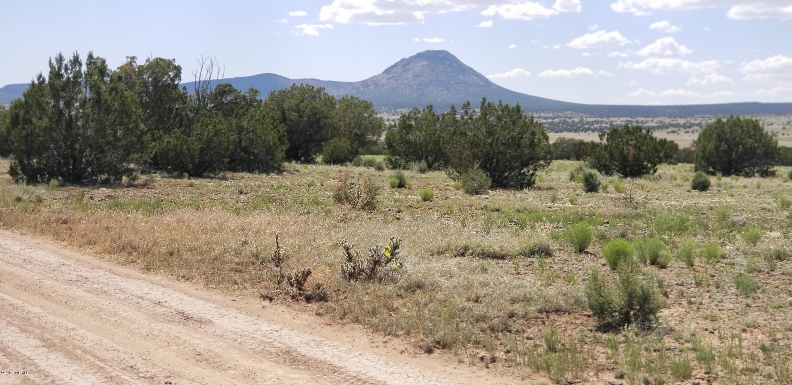 E Antelope Run Road Ash Fork, AZ 86320 - Photo 56 of 57 20190618_150504