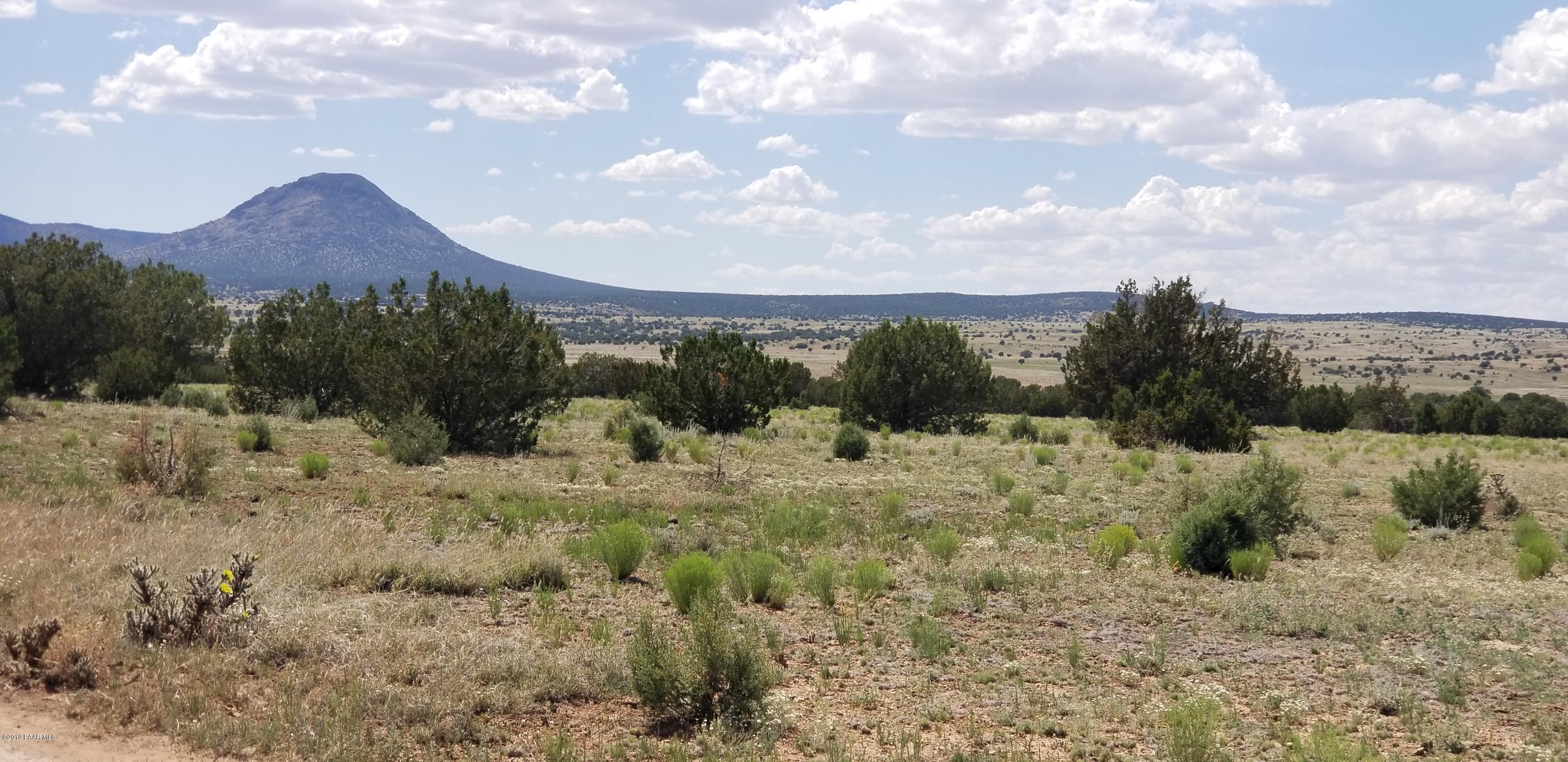 E Antelope Run Road Ash Fork, AZ 86320 - Photo 57 of 57 20190618_150508
