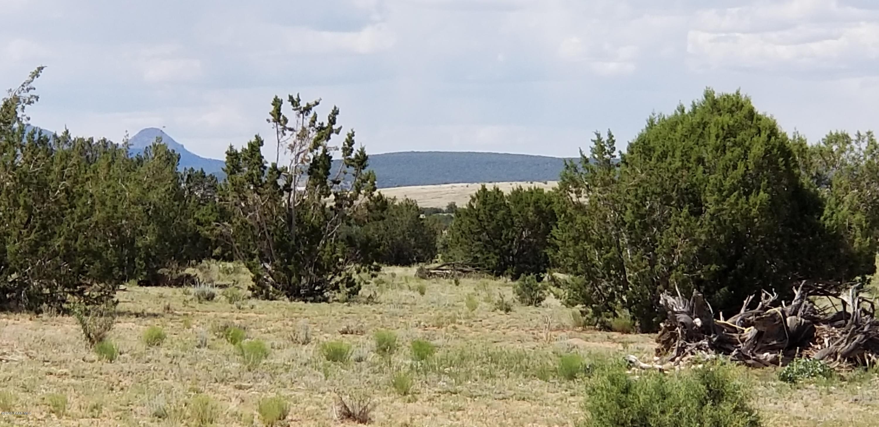 E Antelope Run Road Ash Fork, AZ 86320 - Photo 8 of 57 20190618_144817