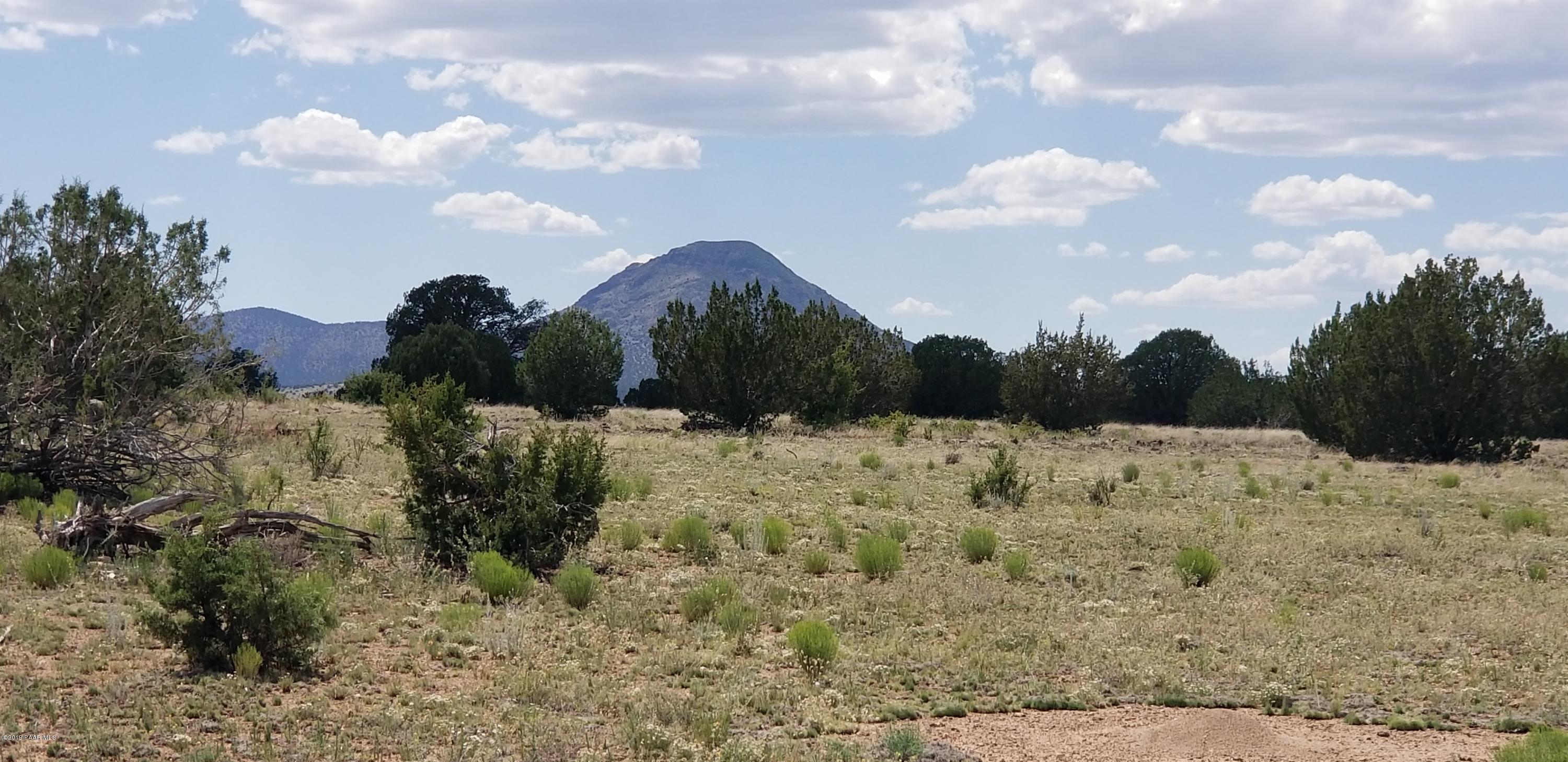 E Antelope Run Road Ash Fork, AZ 86320 - Photo 9 of 57 20190618_144834