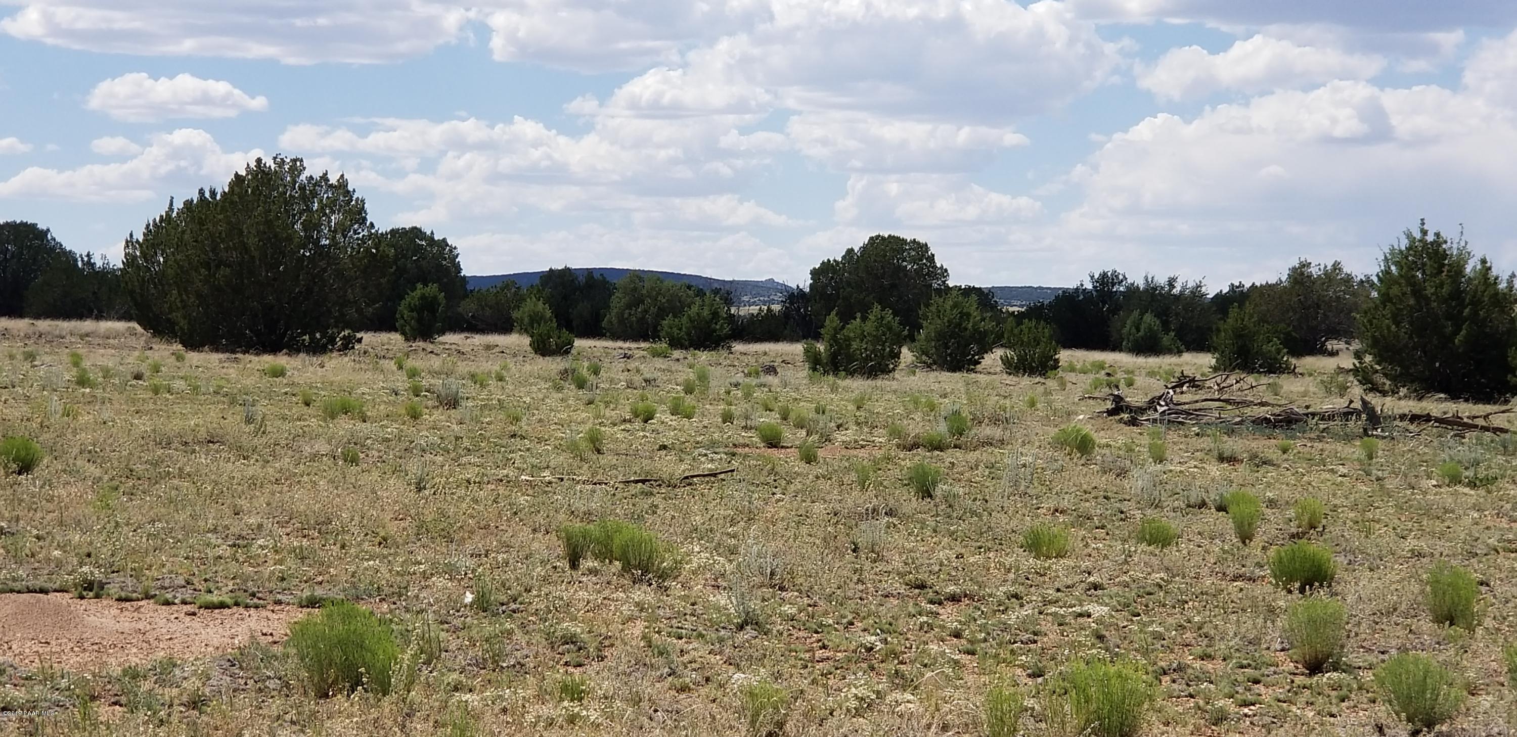E Antelope Run Road Ash Fork, AZ 86320 - Photo 10 of 57 20190618_144836