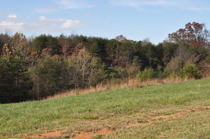 2022 Grey Ridge Road Maryville, TN 37801 - Photo 11 of 17 Gallery Image 11