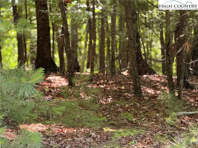 $16,999 | 133 Steeple Chase Trail, McGrady, NC 28649