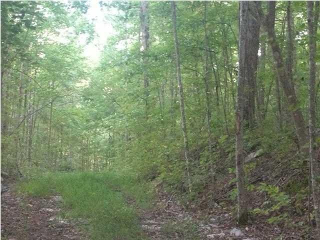 9391 Jackson Point Road South Pittsburg, TN 37380 - Photo 1 of 11 Gallery Image 1