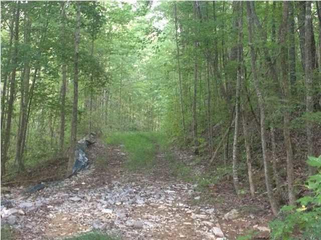 9391 Jackson Point Road South Pittsburg, TN 37380 - Photo 2 of 11 Gallery Image 2