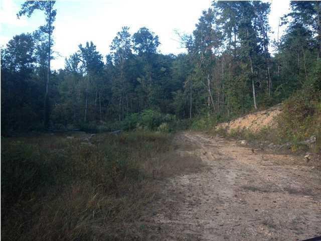 9391 Jackson Point Road South Pittsburg, TN 37380 - Photo 10 of 11 Gallery Image 10