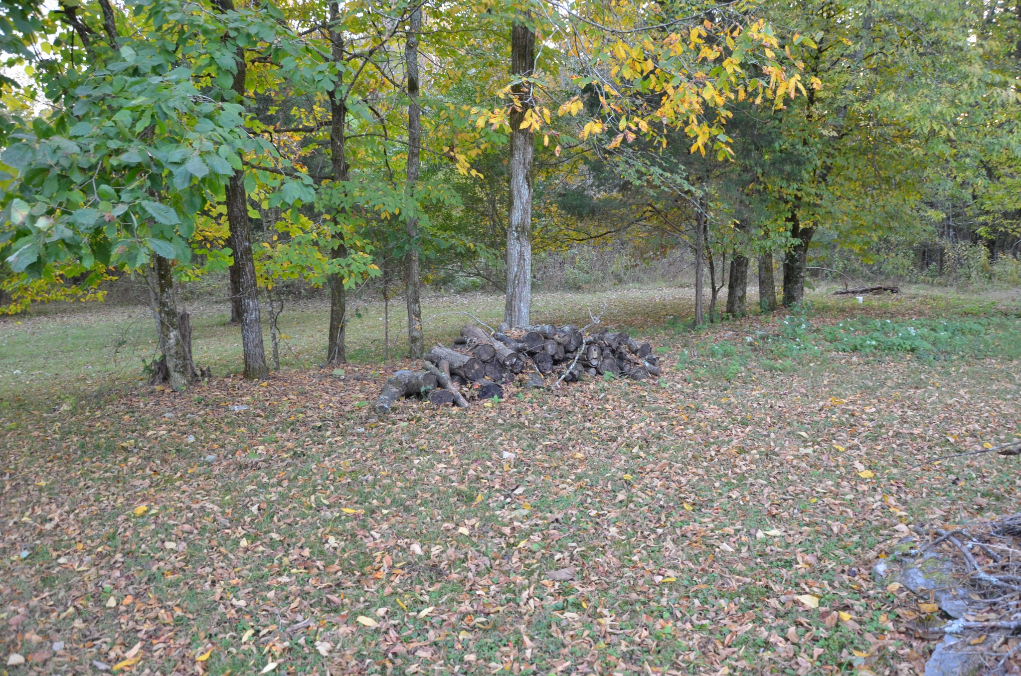 580 Speck Road Lebanon, TN 37087 - Photo 37 of 38 a backyard of a house with lots of green space