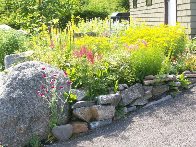 195 Lighthouse Point Road Gouldsboro, ME 04669 - Photo 44 of 48 44