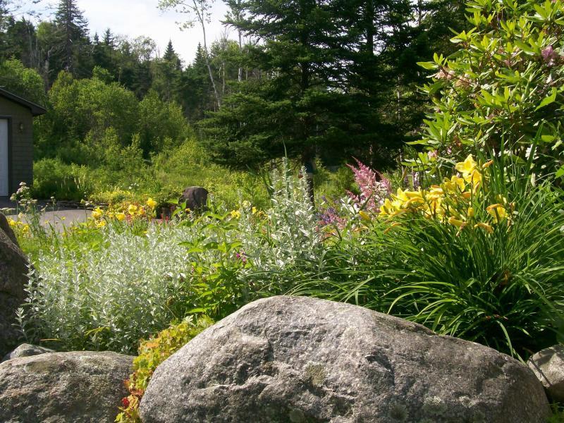 195 Lighthouse Point Road Gouldsboro, ME 04669 - Photo 46 of 48 46