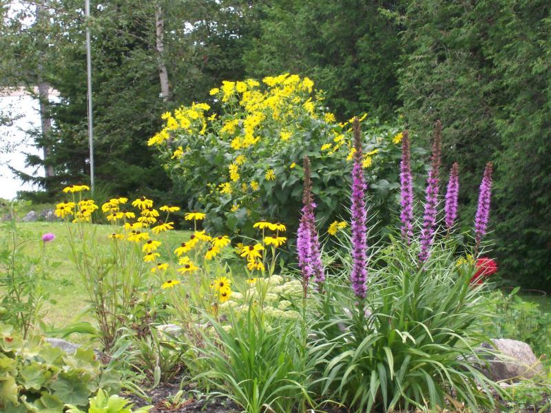 195 Lighthouse Point Road Gouldsboro, ME 04669 - Photo 48 of 48 48