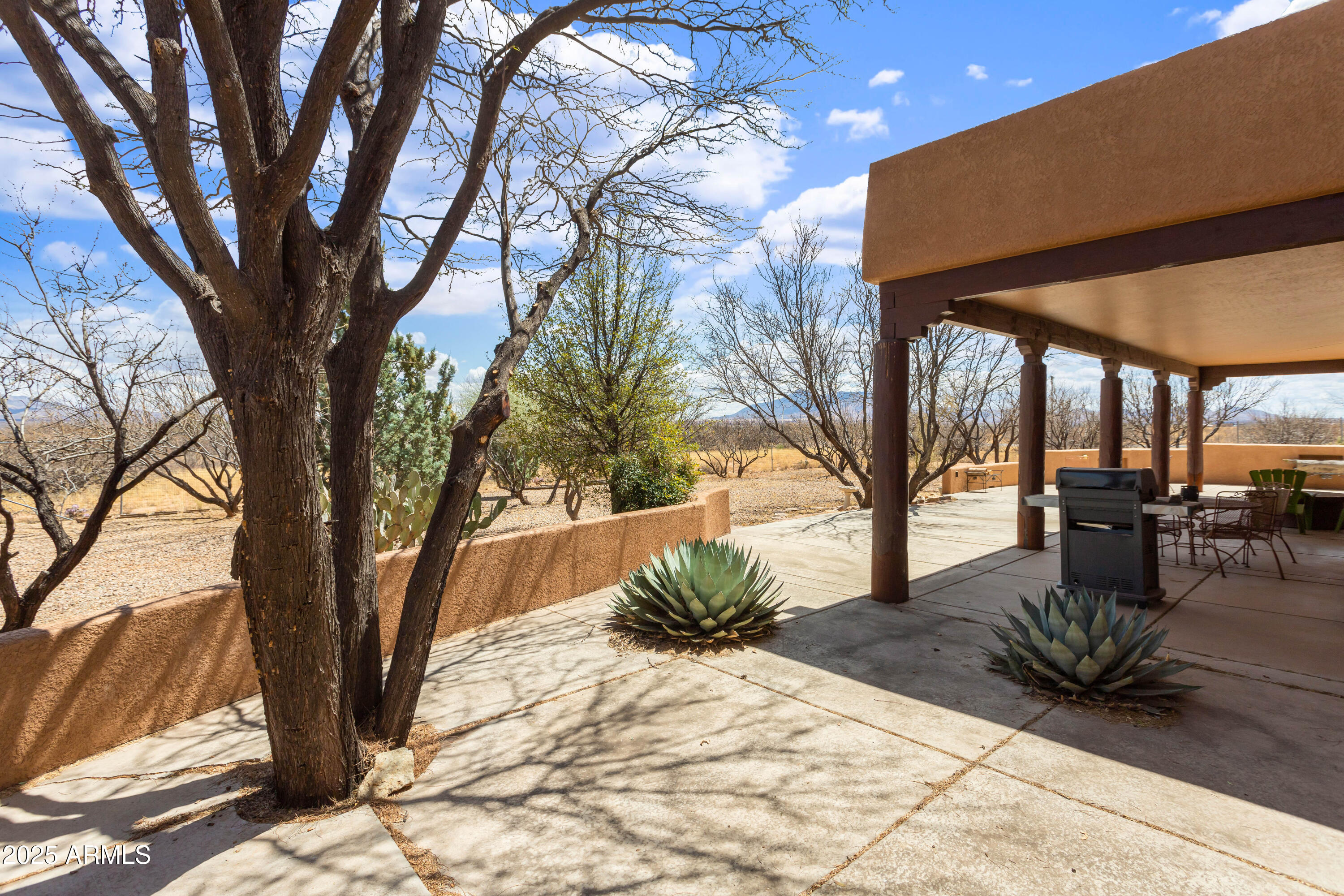8765 South Airstrip Road Hereford, AZ 85615 - Photo 38 of 47 a view of outdoor space yard and patio