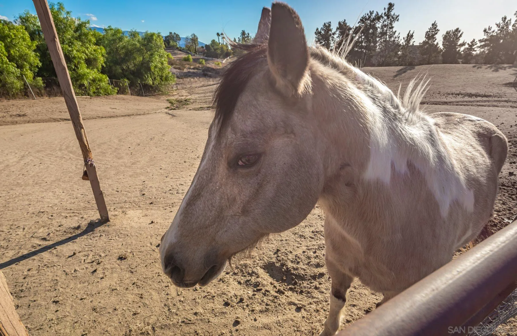 36005 Glen Oaks Road Temecula, CA 92592 - Photo 10 of 16 a view of roof with wooden floor