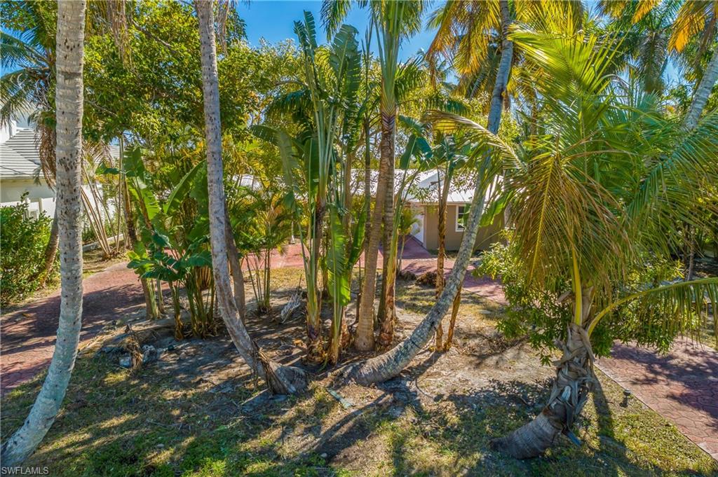 2195 Sheepshead Drive Naples, FL 34102 - Photo 6 of 14 a backyard of a house with lots of trees