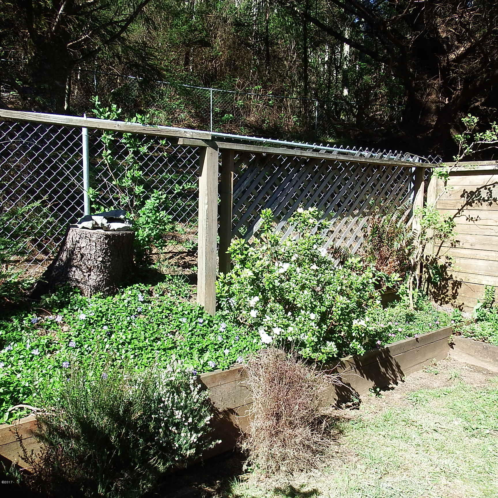6205 Scherzinger Road Neskowin, OR 97149 - Photo 78 of 88 Garden Beds