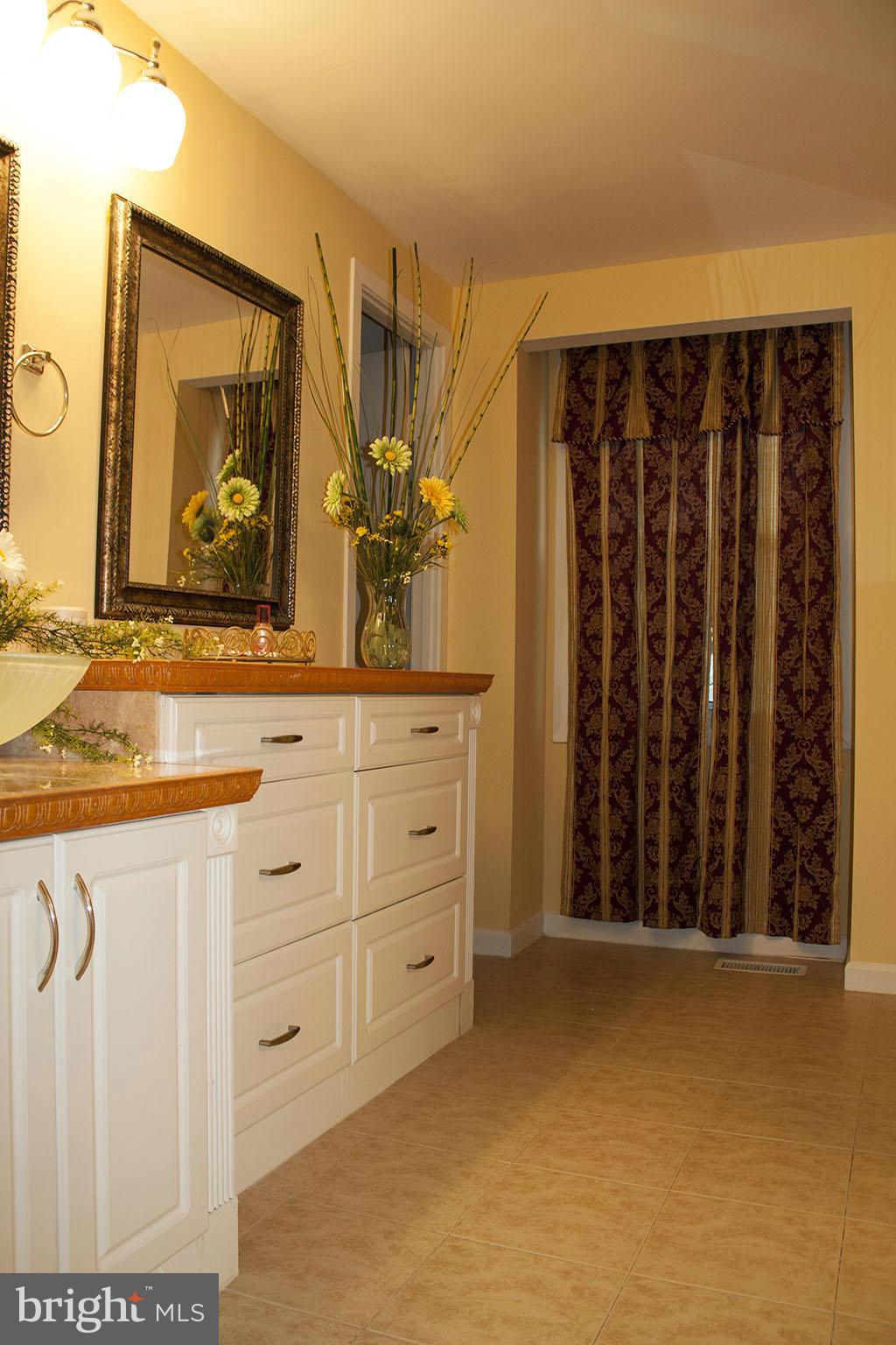 9923 Manet Road Burke, VA 22015 - Photo 13 of 27 Bath (Master)