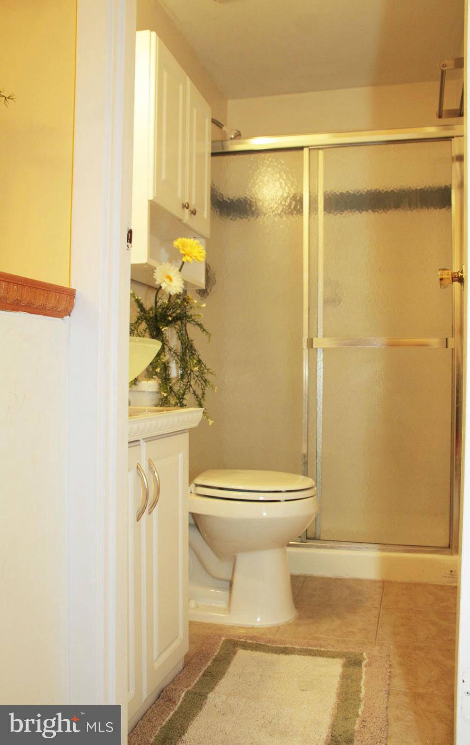 9923 Manet Road Burke, VA 22015 - Photo 14 of 27 Bath (Master)