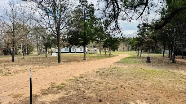 a view of park with trees