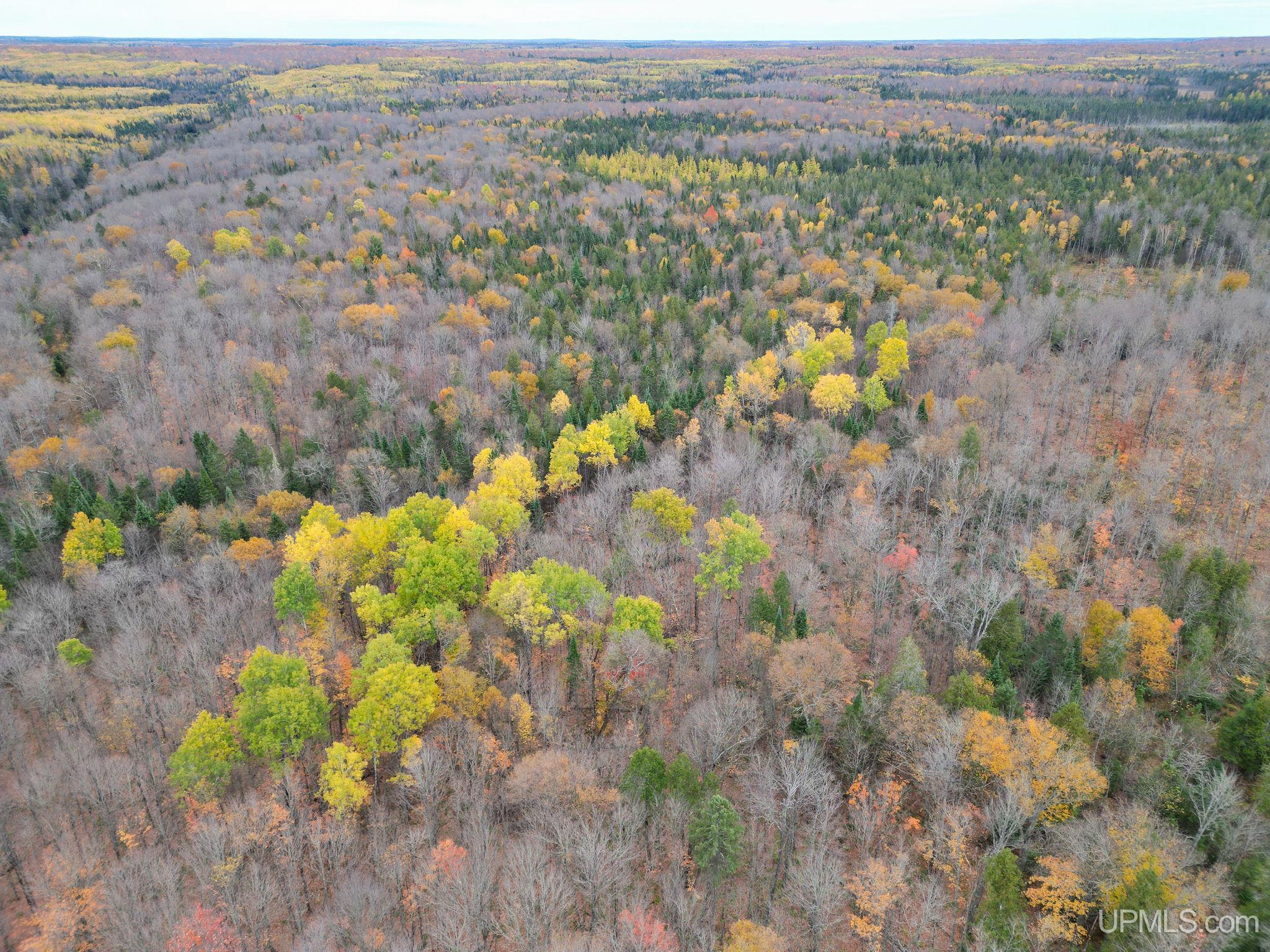 500 Fence River Road Republic, MI 49879 - Photo 37 of 37
