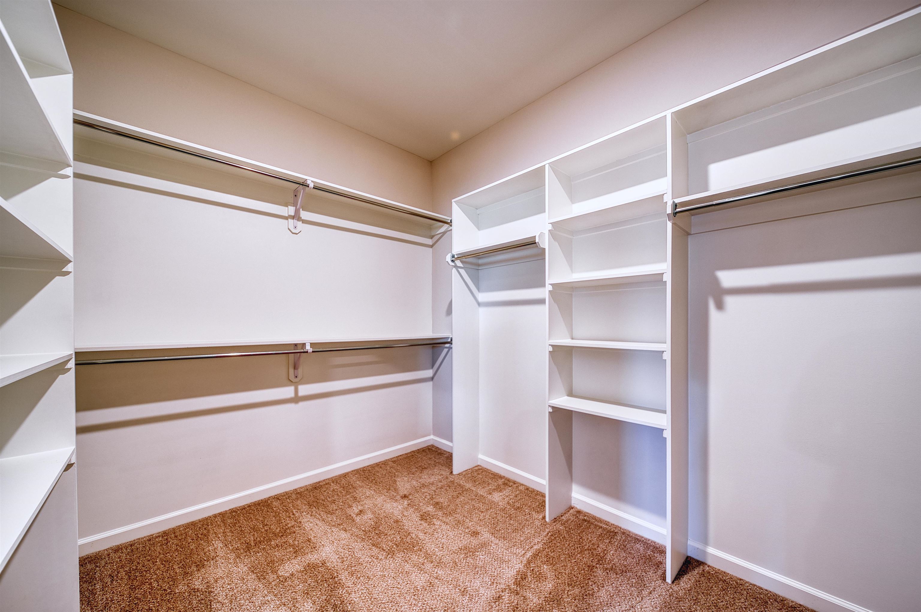 196 Como Lane Atoka, TN 38004 - Photo 11 of 40 Walk in closet featuring light colored carpet