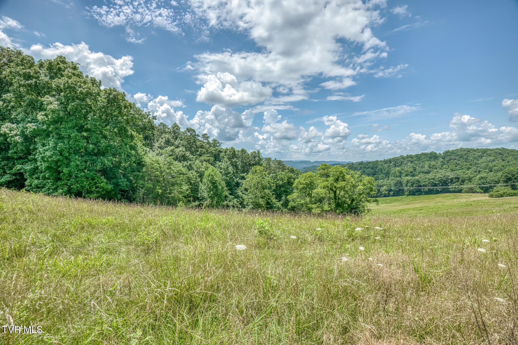 2083 Bundren Mountain Road Tazewell, TN 37879 - Photo 24 of 42 2083 Bundren Mountain Rd-27