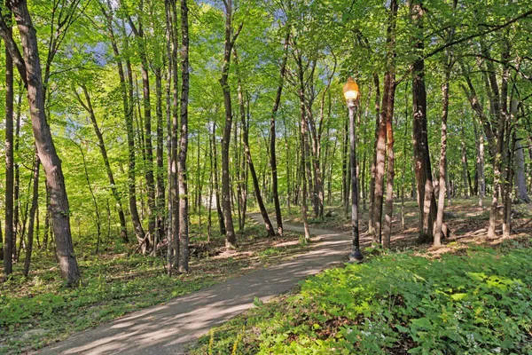 $775,000 | 6620 Saunders Lake Drive South, Minnetrista, MN 55364