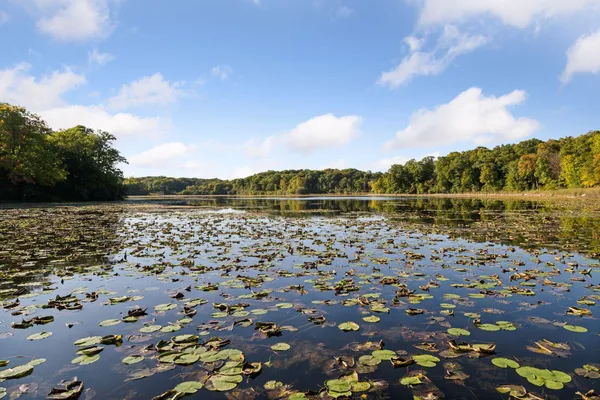 $775,000 | 6620 Saunders Lake Drive South, Minnetrista, MN 55364