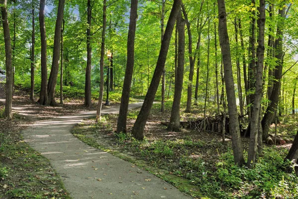 $775,000 | 6620 Saunders Lake Drive South, Minnetrista, MN 55364