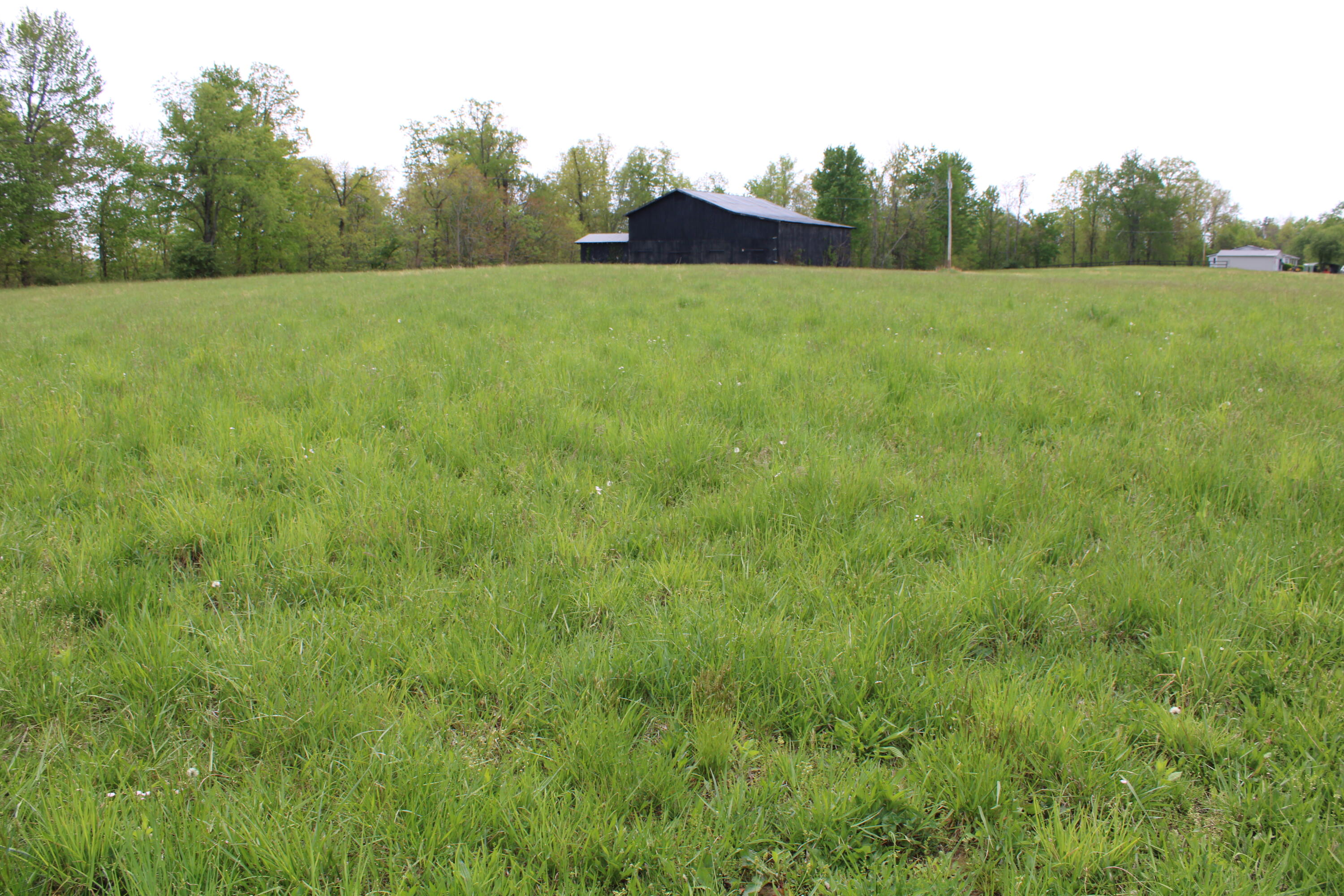 5000 Chestnut Flat Road McKee, KY 40447 - Photo 4 of 10 IMG_1379