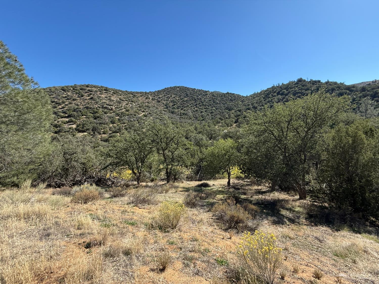 0 Zackery Road Caliente, CA 93518 - Photo 8 of 26 Gallery Image 8
