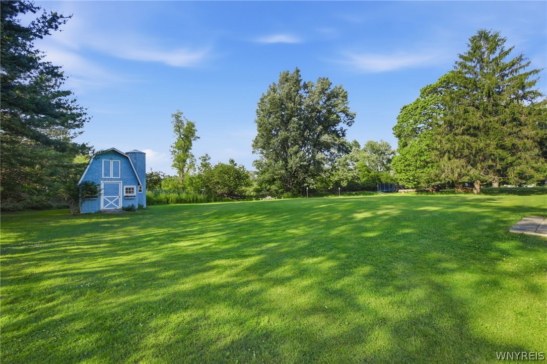 1391 Billington Road Elma, NY 14052 - Photo 42 of 46 Cute custom barn/shed with loft, look at the size