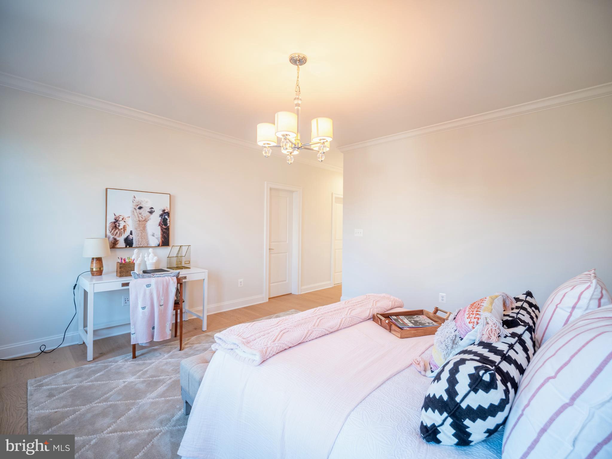 2211 Windsor Road Alexandria, VA 22307 - Photo 74 of 126