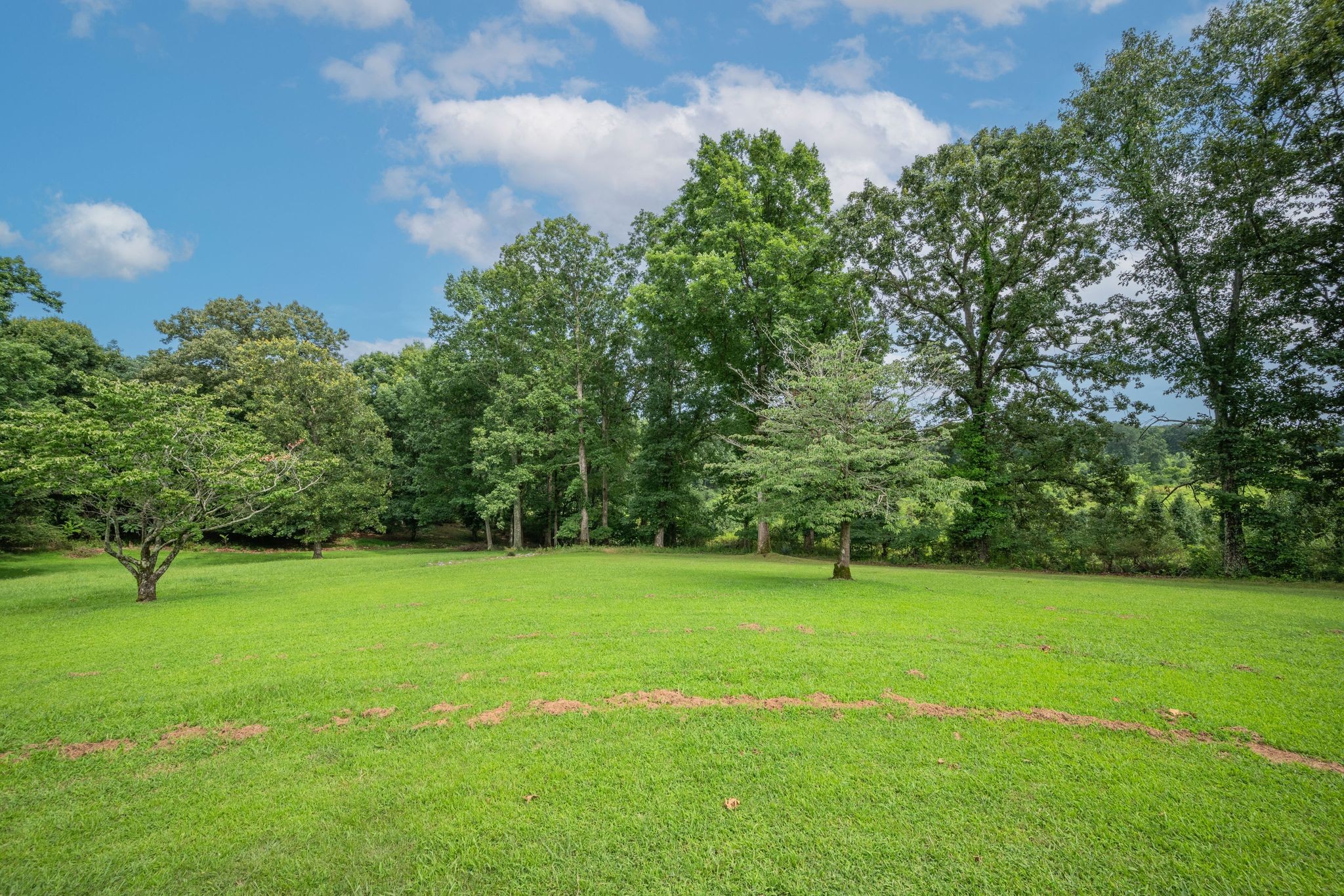 202 Rouse Road Dickson, TN 37055 - Photo 3 of 37