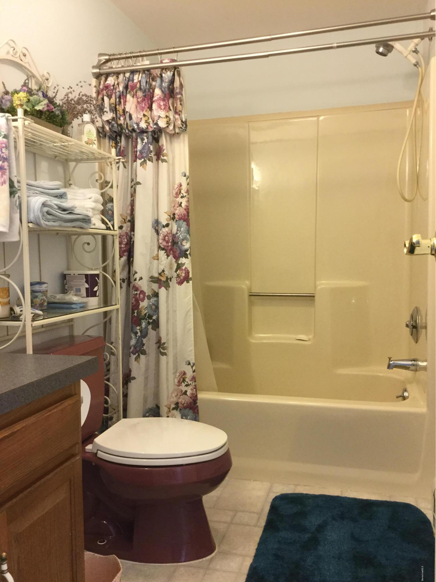 355 Salisbury Road Sheffield, MA 01257 - Photo 15 of 33 a bathroom with a toilet a sink and shower