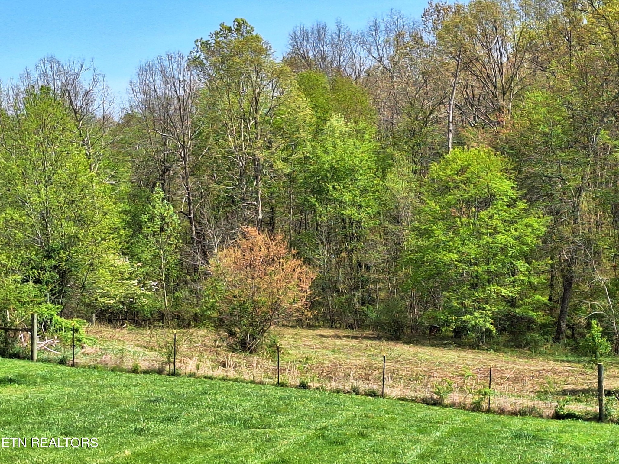 4128 Potato Farm Road Crossville, TN 38571 - Photo 36 of 46