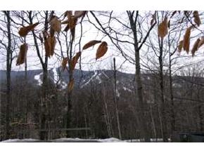 25 W Clearbrook Road, Unit 25 Lincoln, NH 03251 - Photo 3 of 9