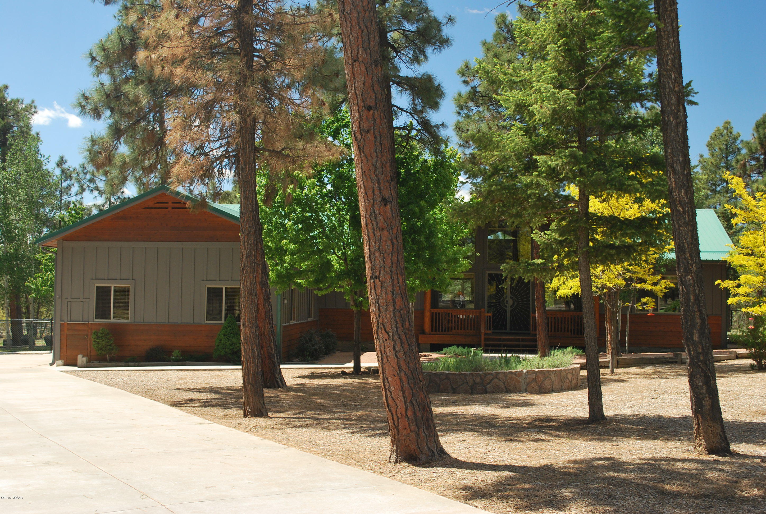 1810 Rim Road Lakeside, AZ 85929 - Photo 3 of 59