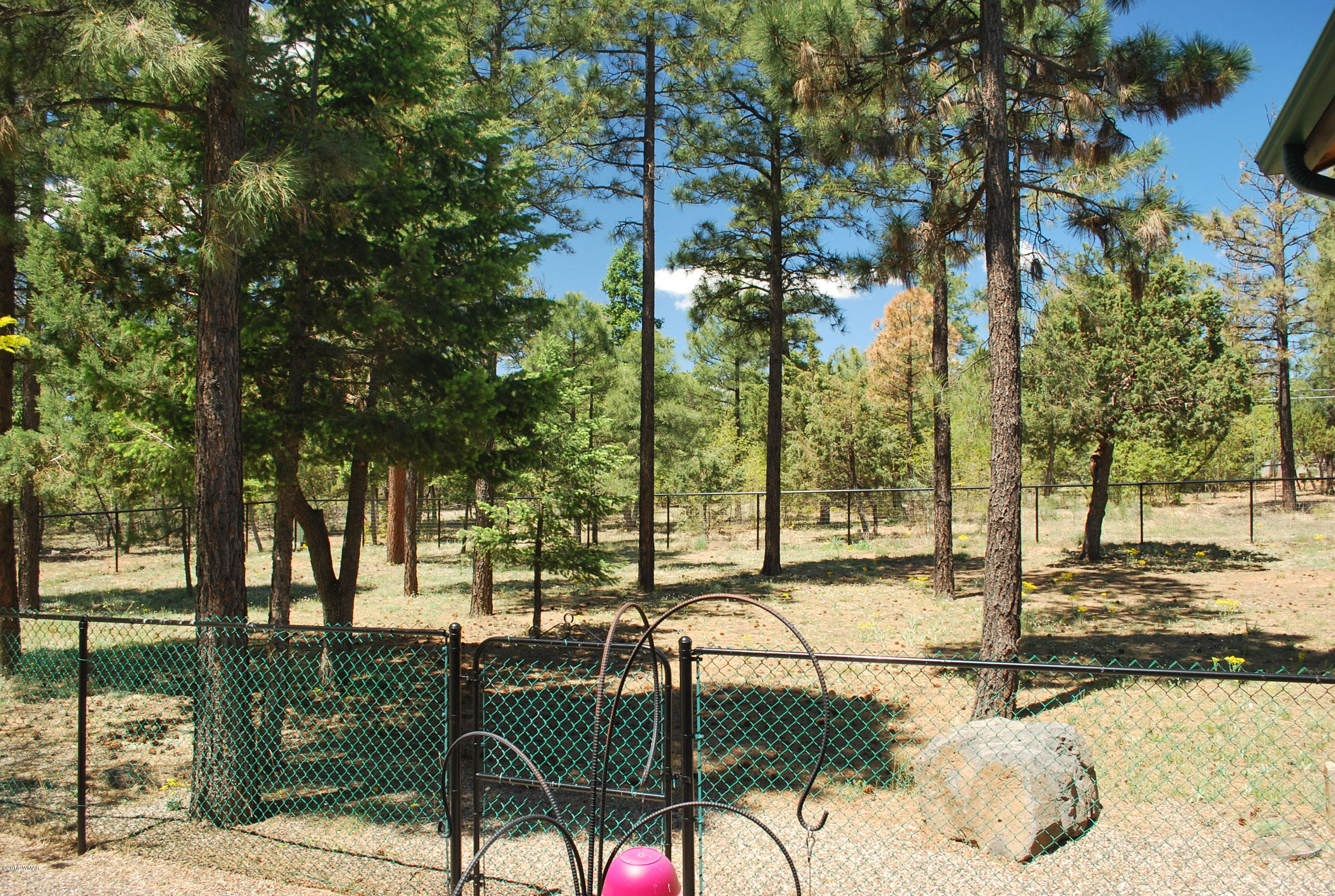1810 Rim Road Lakeside, AZ 85929 - Photo 51 of 59